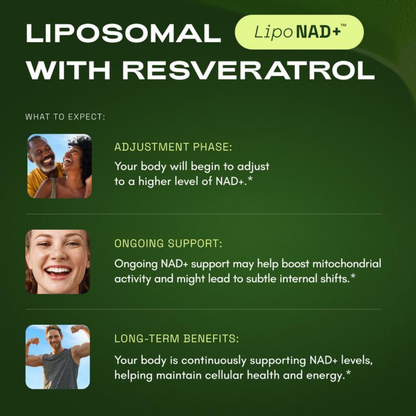 NAD+ Advanced - NAD+ Supplement for Energy & Healthy Aging - 500mg per Serving - 60 Count (30 Day Supply) - Previously known as Reus Research NR 900