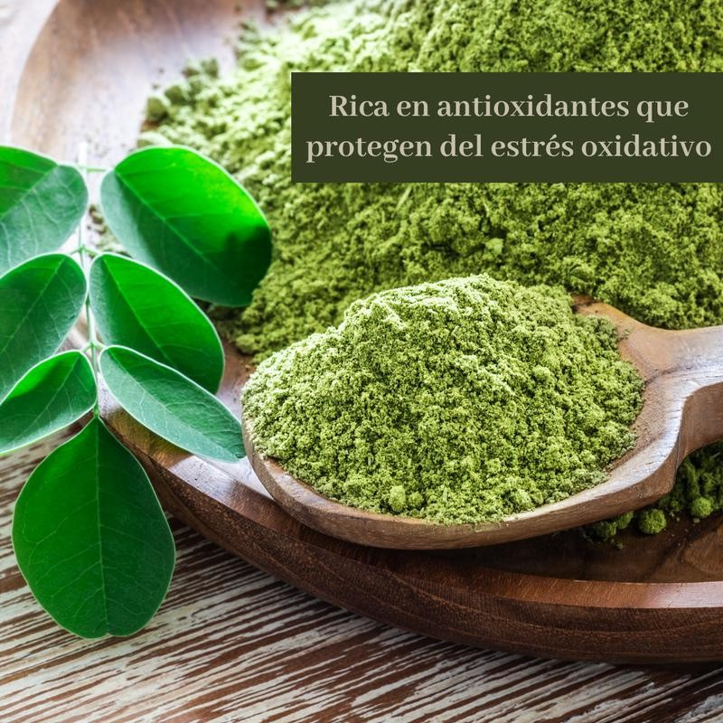 Moringa Pura de Hoja Fuente de Nutrientes y Antioxidantes 90 Cápsulas