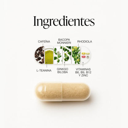 Concentración, Energía y Memoria | Suplemento Nootrópico Natural