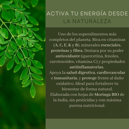 Moringa Pura de Hoja Fuente de Nutrientes y Antioxidantes 90 Cápsulas