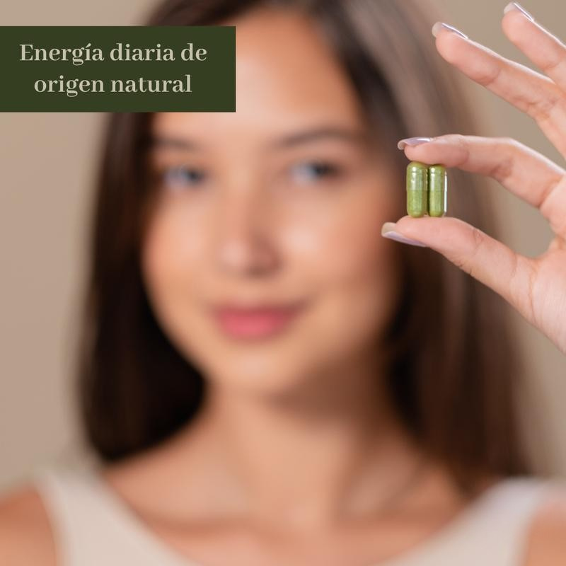 Moringa Pura de Hoja Fuente de Nutrientes y Antioxidantes 90 Cápsulas