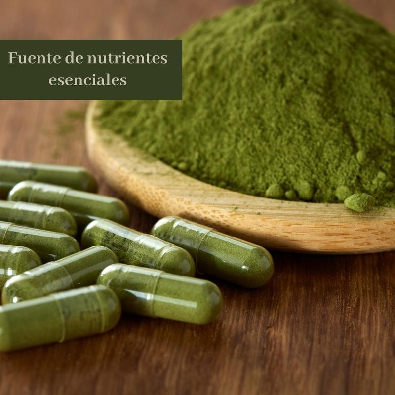 Moringa Pura de Hoja Fuente de Nutrientes y Antioxidantes 90 Cápsulas