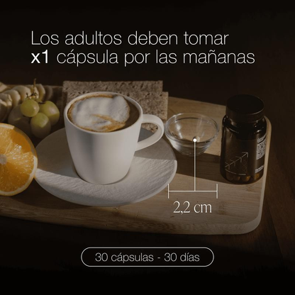 Concentración, Energía y Memoria | Suplemento Nootrópico Natural